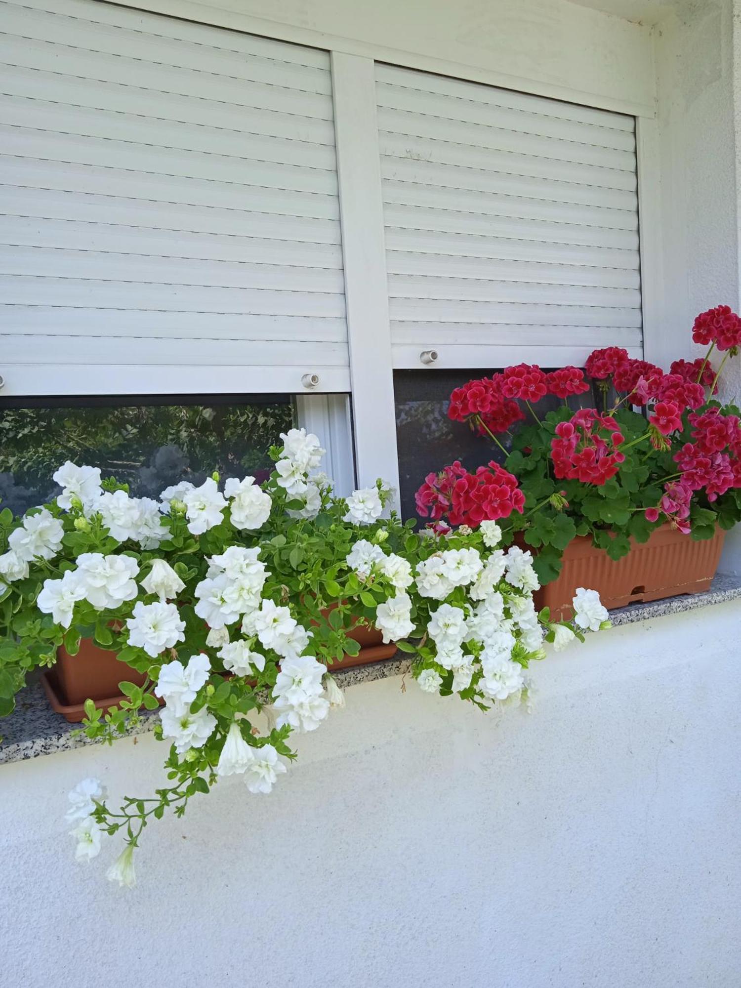 Studio Luna Appartement Karlovac Exterior photo